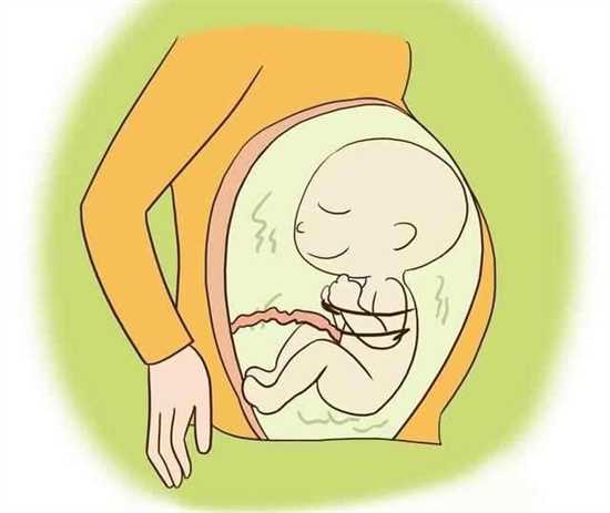 孕前饮食秘诀与小贴士：奠定宝宝健康成长的坚实基础！