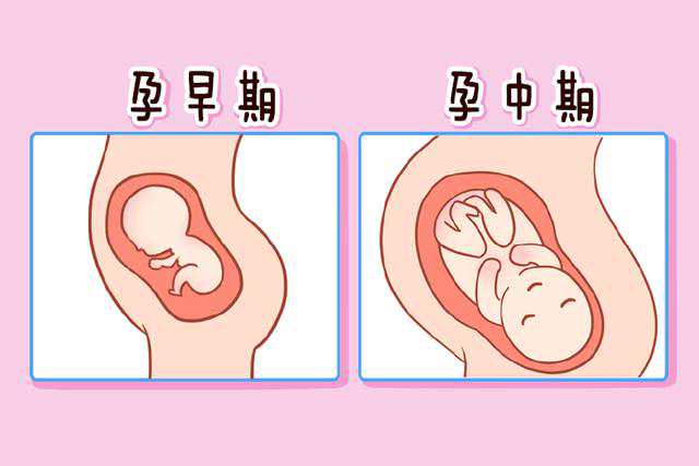 贵州哪里可以代生，贵州省首个“第三代试管婴儿”在贵医附院诞生