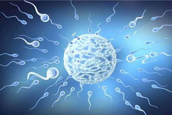 供卵试管都用真实身份吗，精子碎片检查需要注意什么？盘点需要做精子碎片检