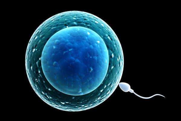 50万找私人广州代妈，精子在外面可以存活多长时间 精子在体内存活几天